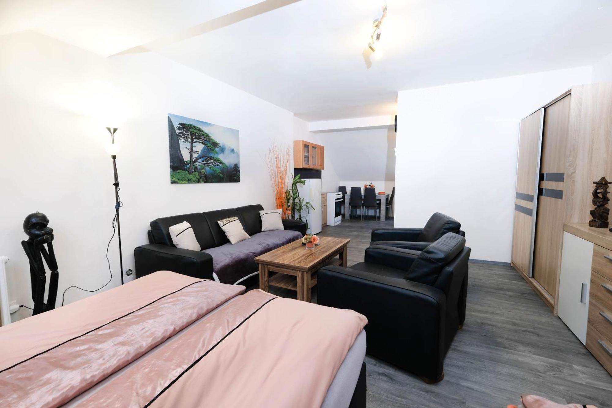 Apartments Alena - 카를로비바리 외부 사진
