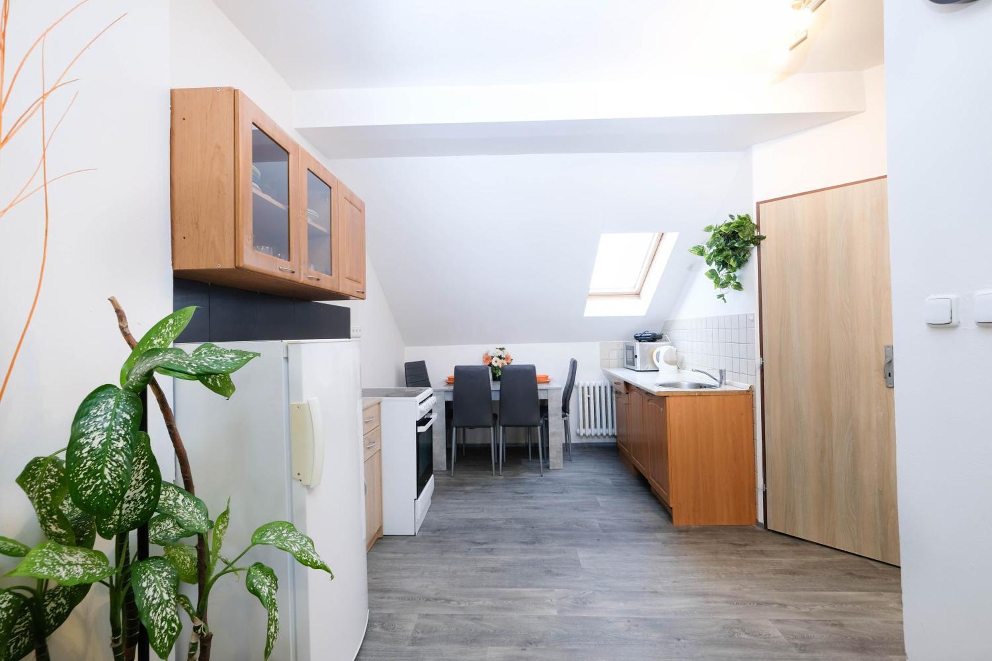 Apartments Alena - 카를로비바리 외부 사진