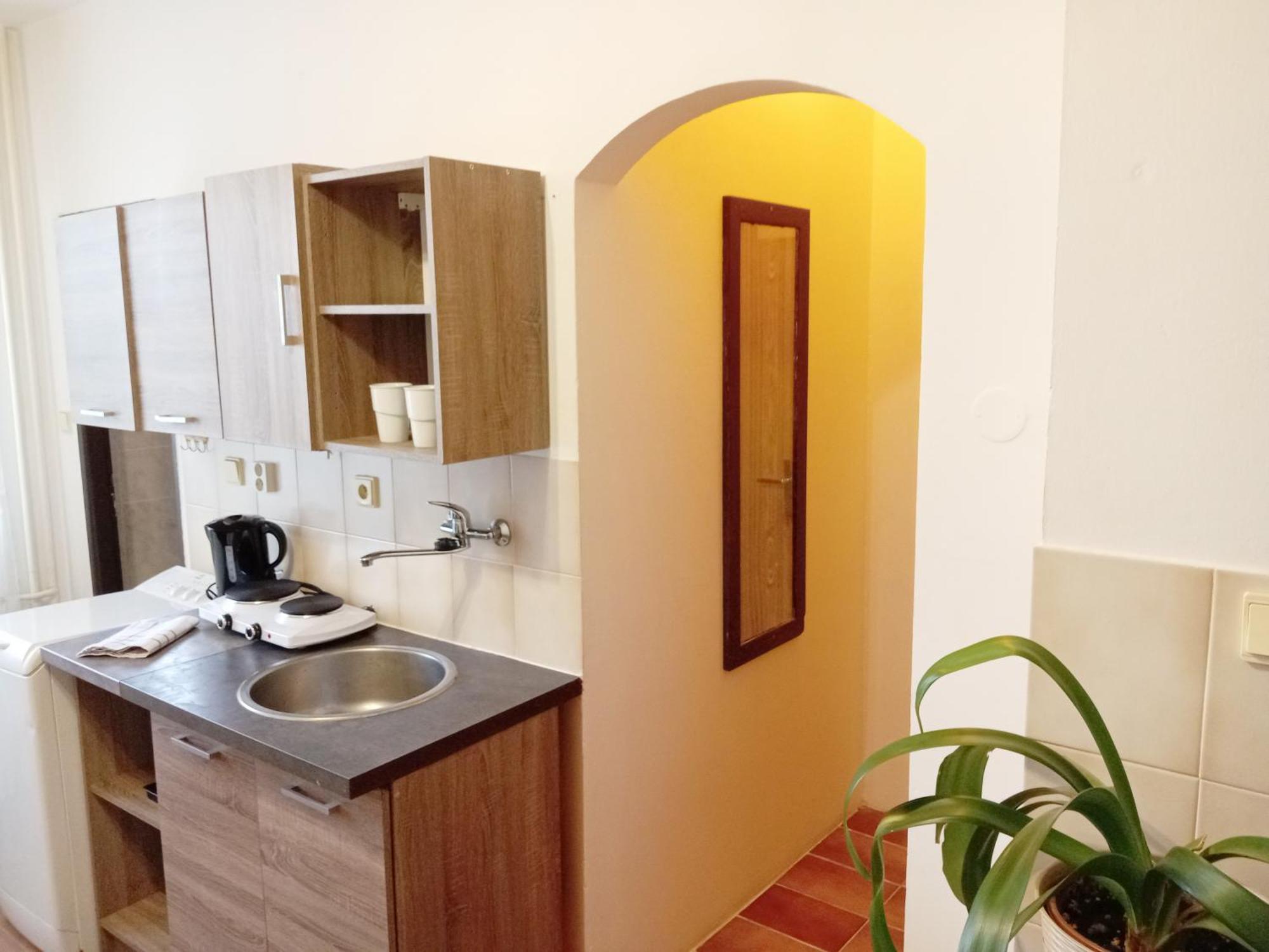Apartments Alena - 카를로비바리 객실 사진