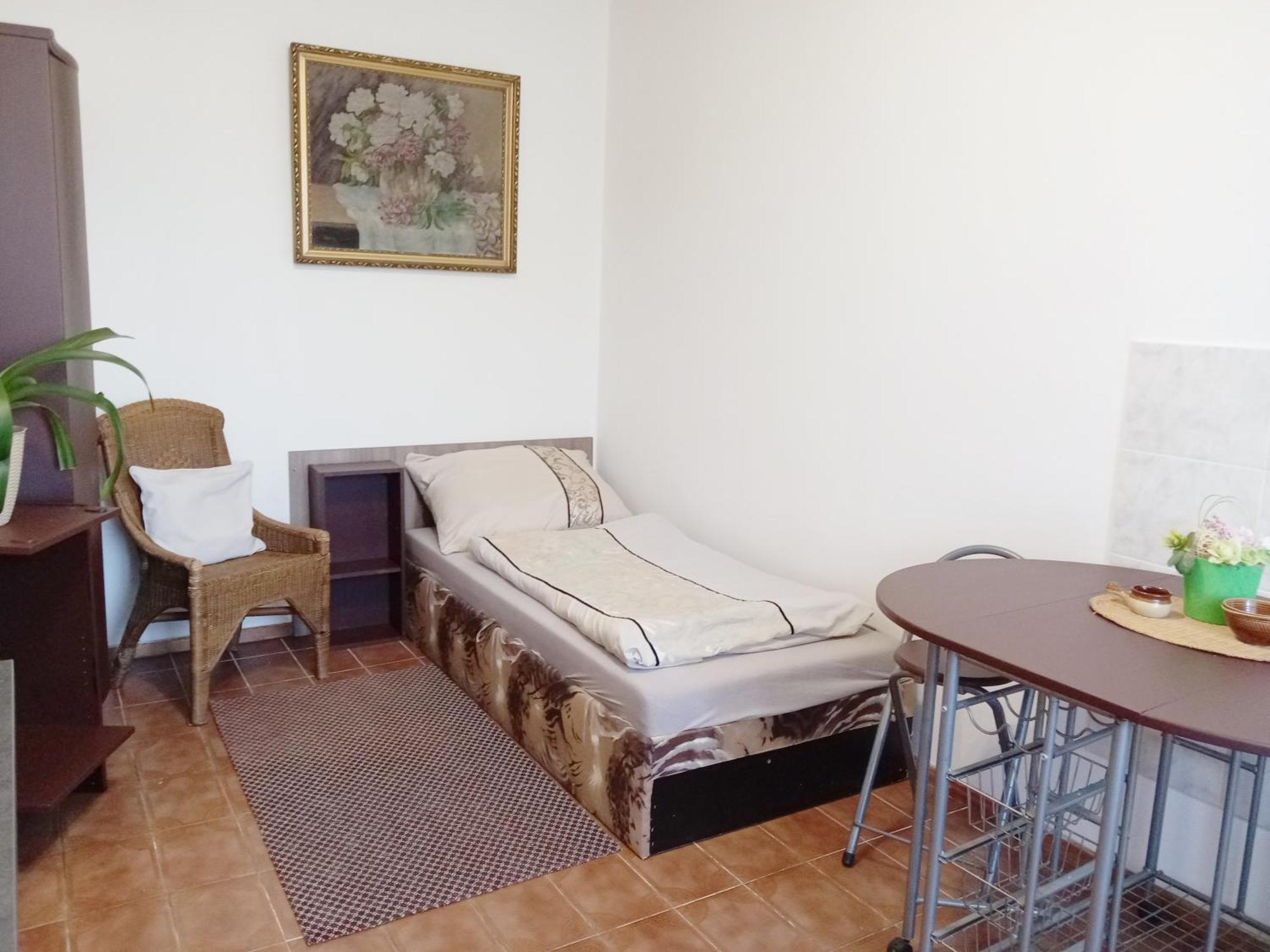 Apartments Alena - 카를로비바리 객실 사진