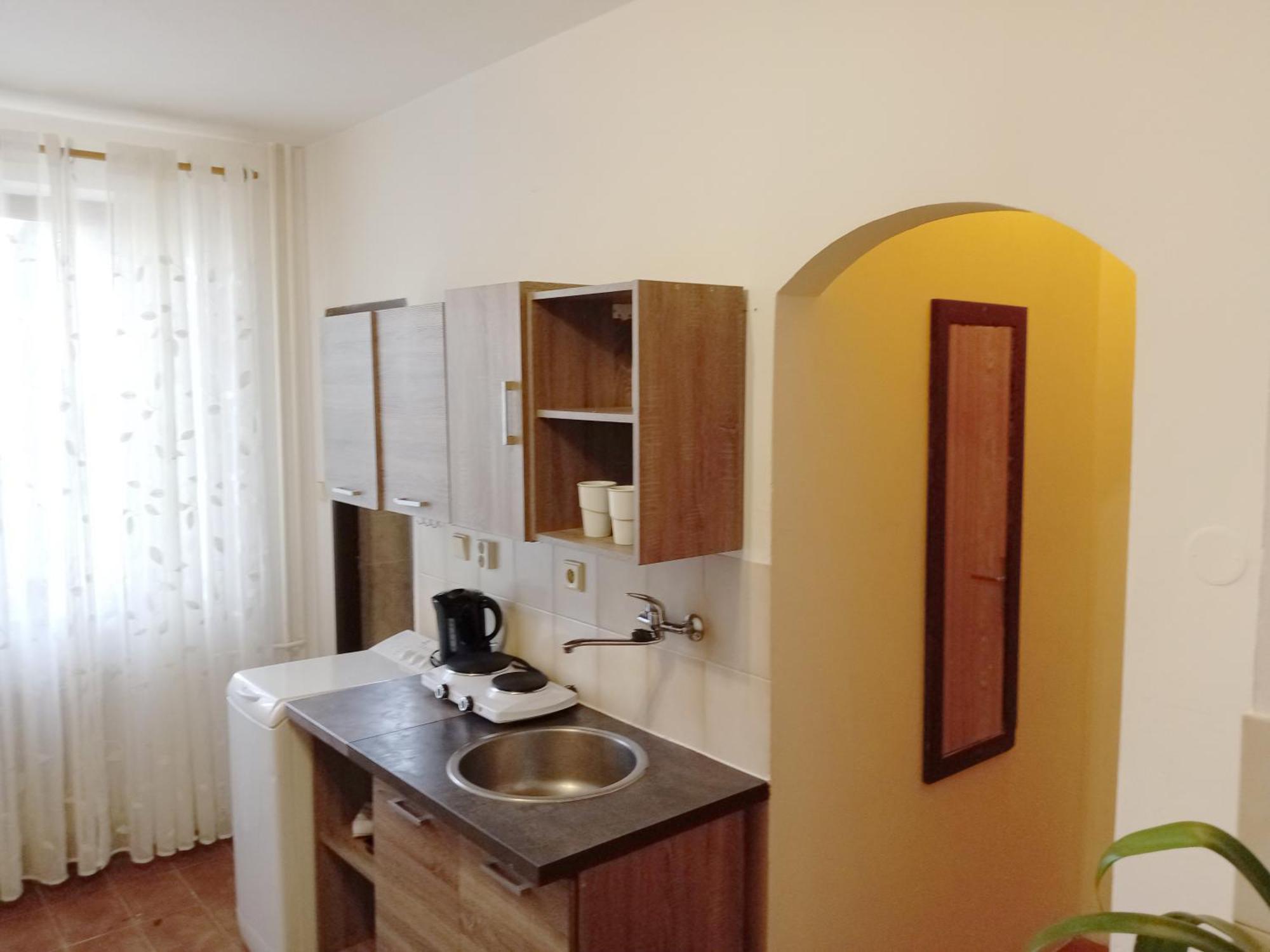 Apartments Alena - 카를로비바리 객실 사진